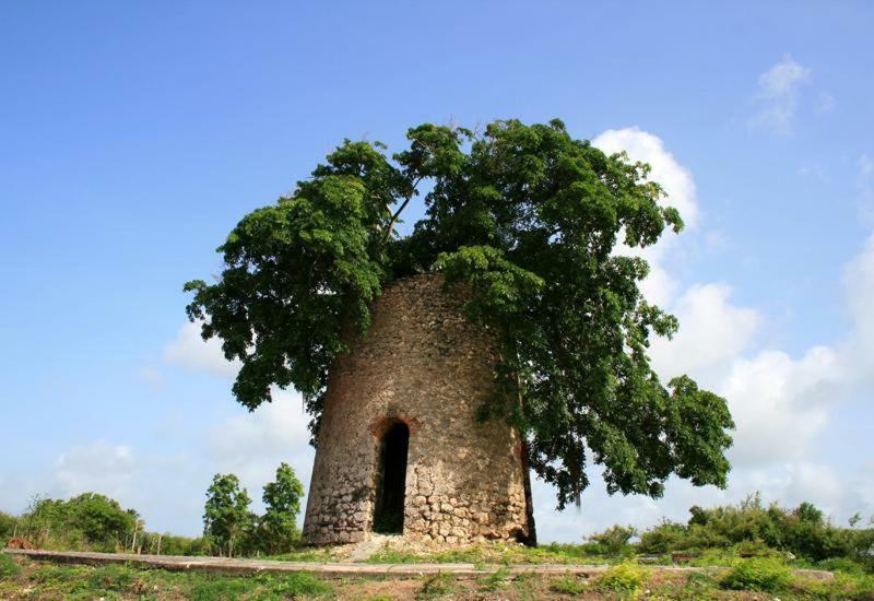Gite Poz Kreyol Port-Louis Exterior foto